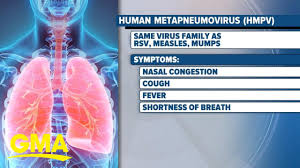 Cold or Running nose

Cough or Wheeze

 A Sore Throat

Serious illness